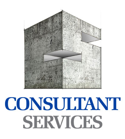 Consutant Services LLC